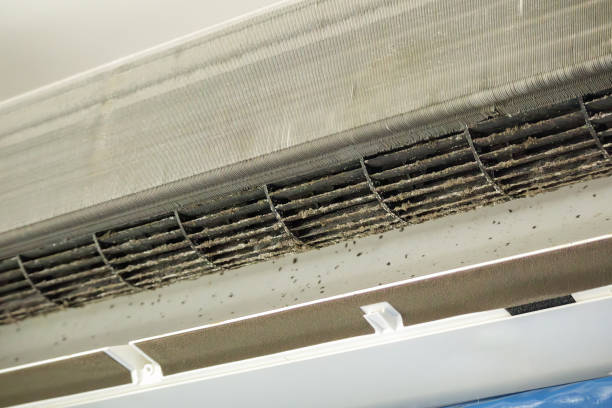 Best Dryer Vent Cleaning Services  in Greenbriar, FL